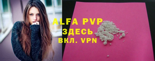 прущие грибы Переславль-Залесский