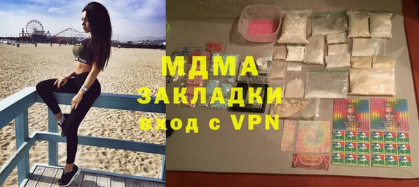 прущие грибы Переславль-Залесский