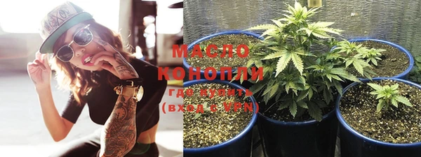мдпв Пестово
