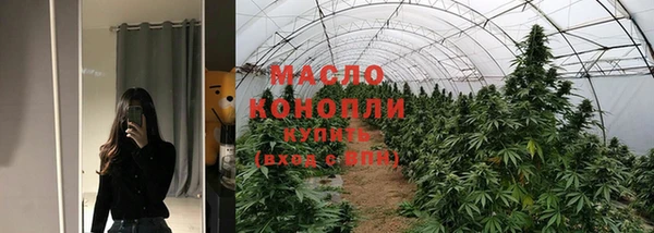 мдпв Пестово
