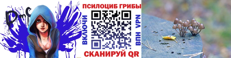 Псилоцибиновые грибы прущие грибы  продажа наркотиков  Полярный 